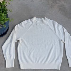 Everlane Cashmere Raglan Mockneck